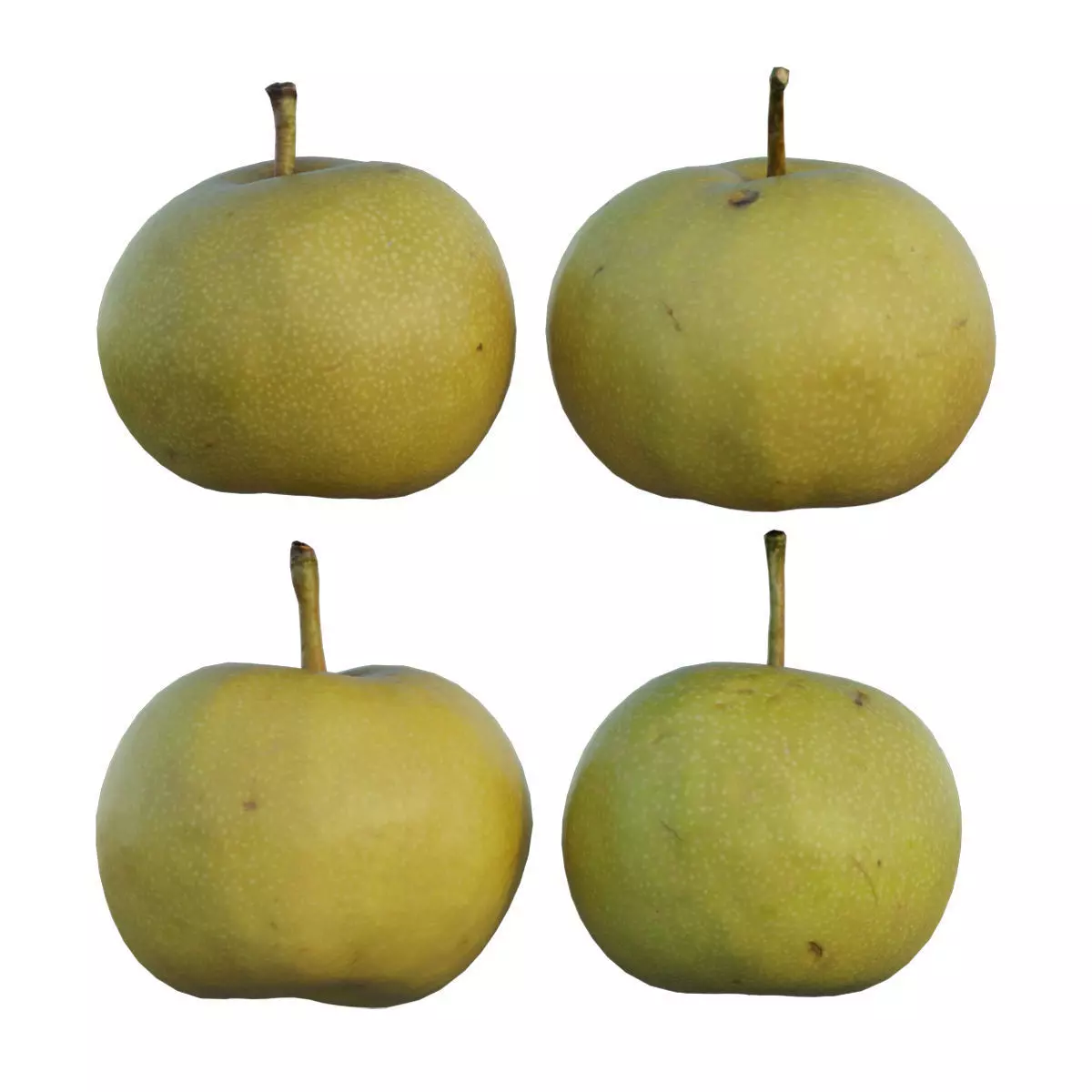 Pear 07 3D model_0