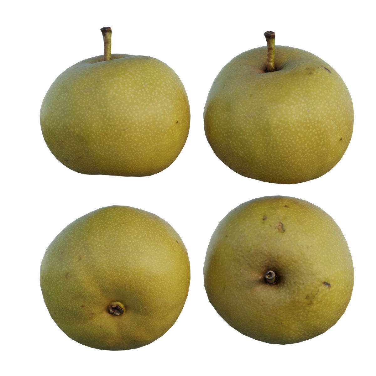 Pear 07 3D model_4