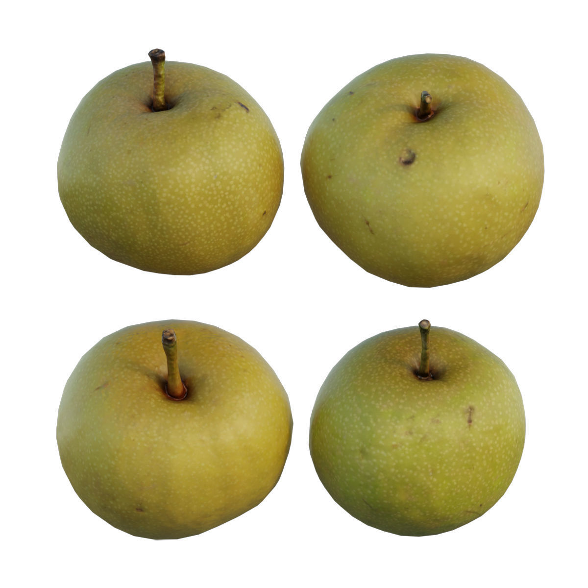 Pear 07 3D model_2