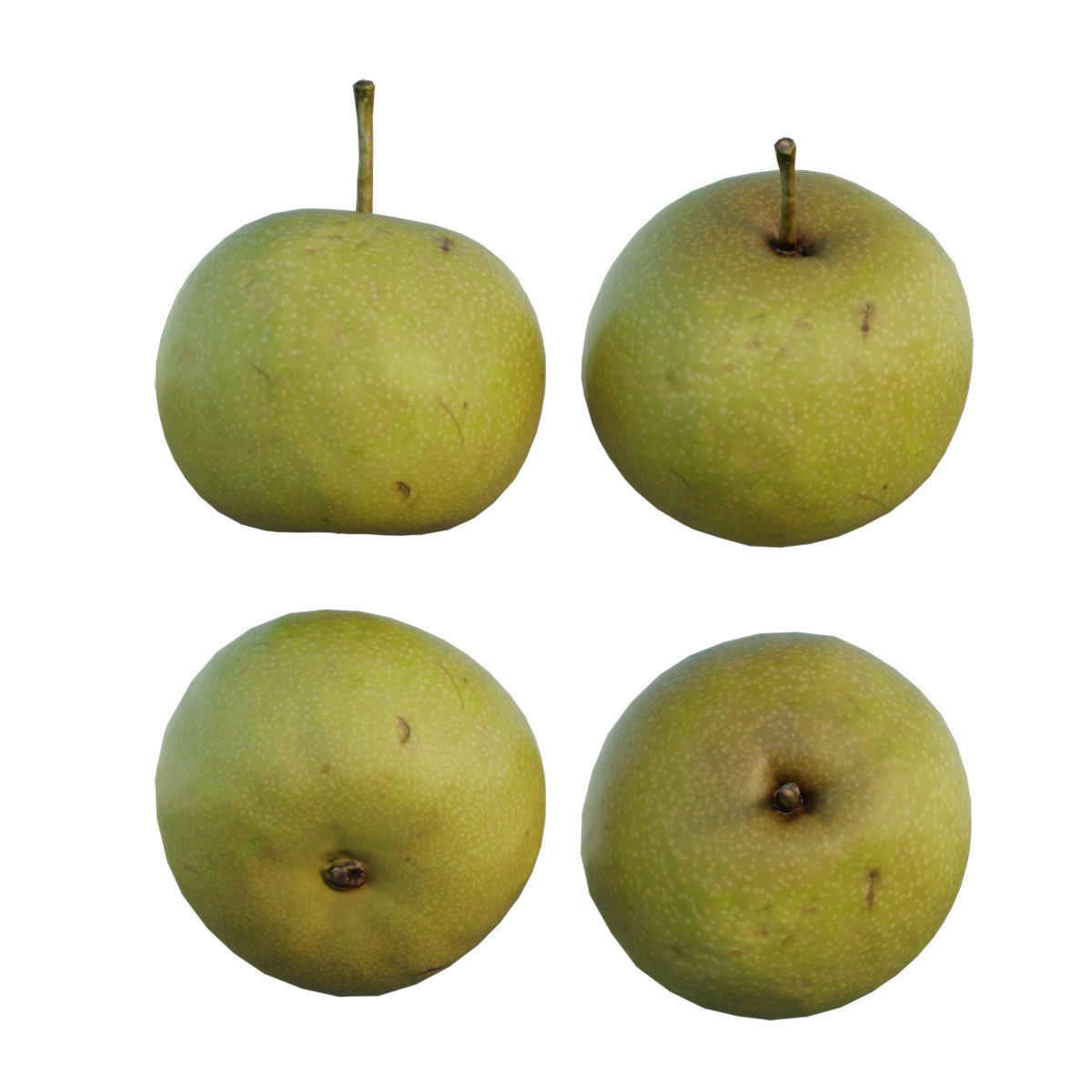 Pear 07 3D model_7