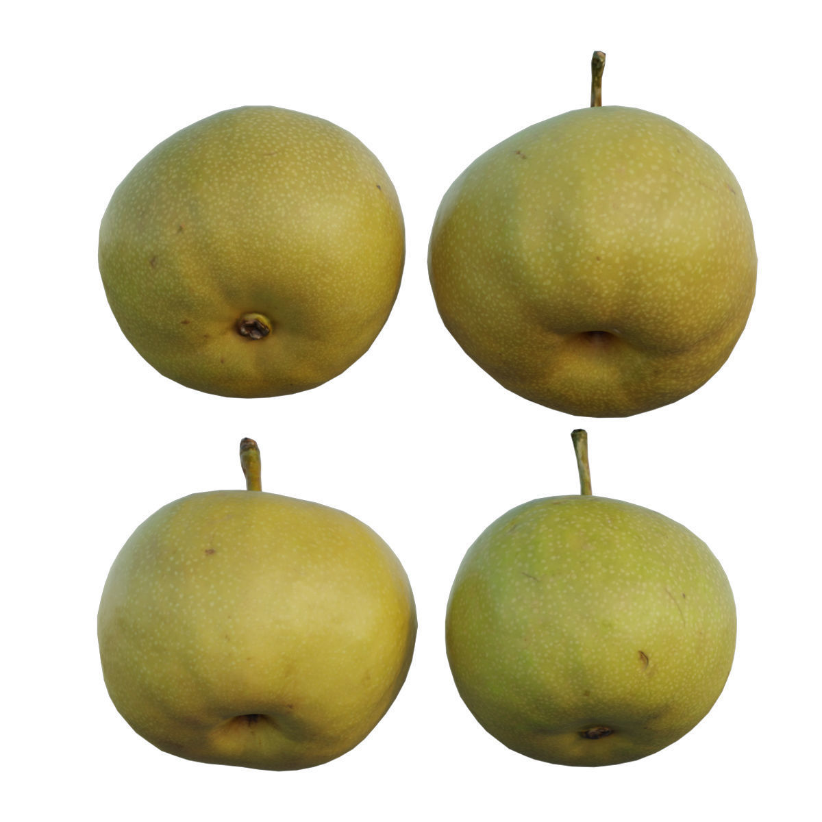 Pear 07 3D model_3