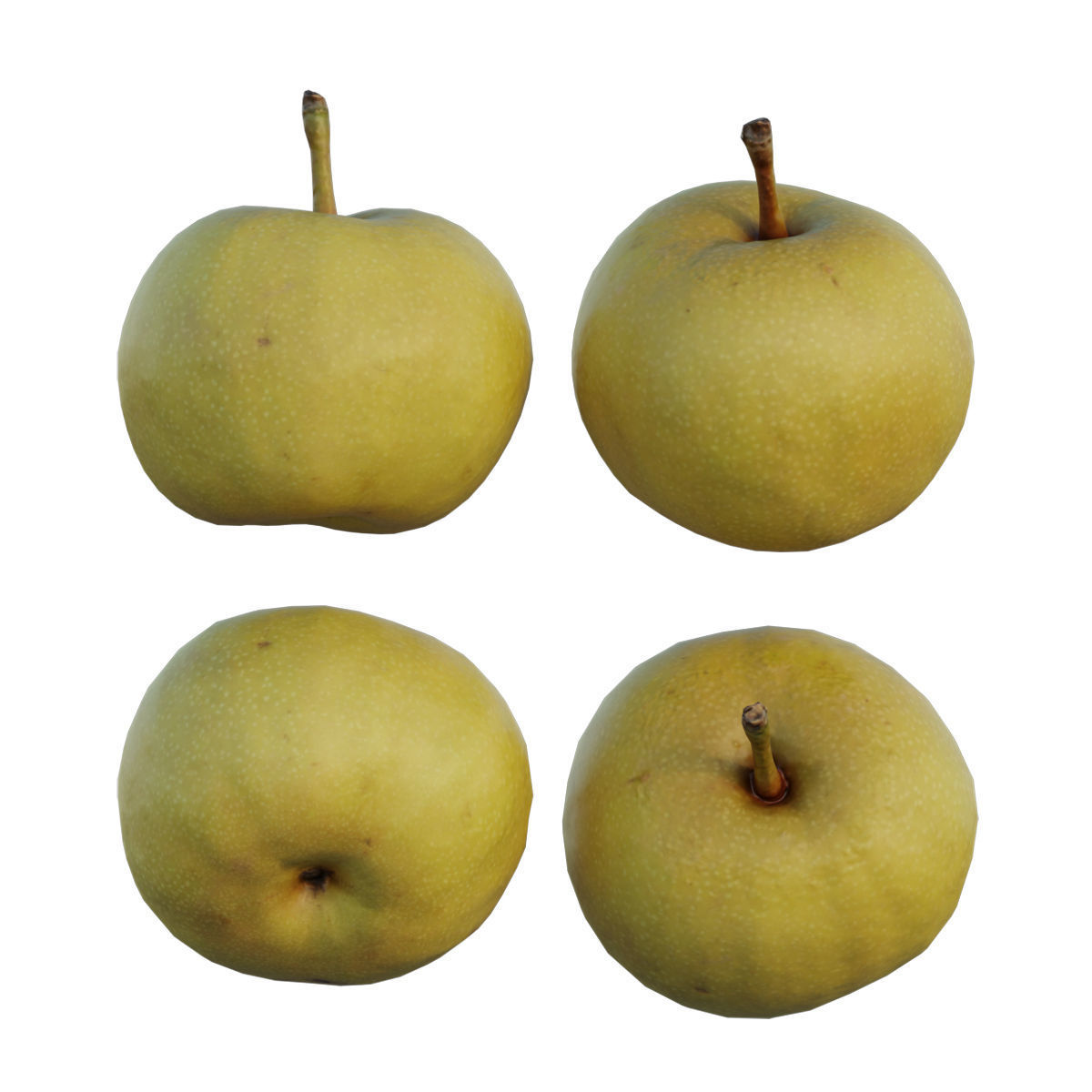 Pear 07 3D model_6