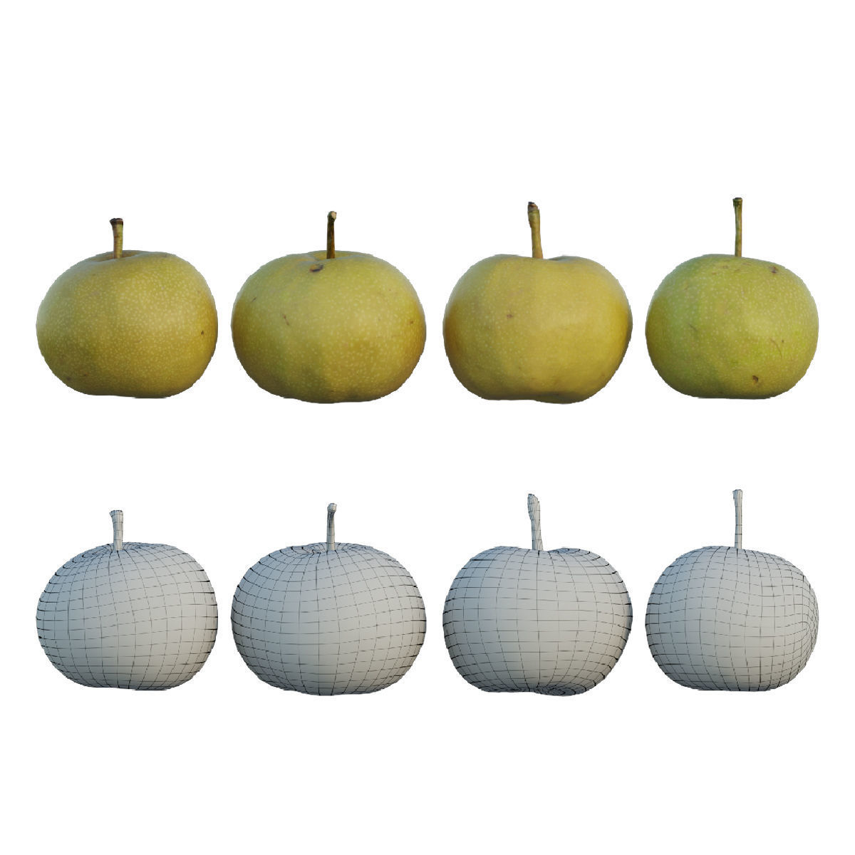 Pear 07 3D model_1