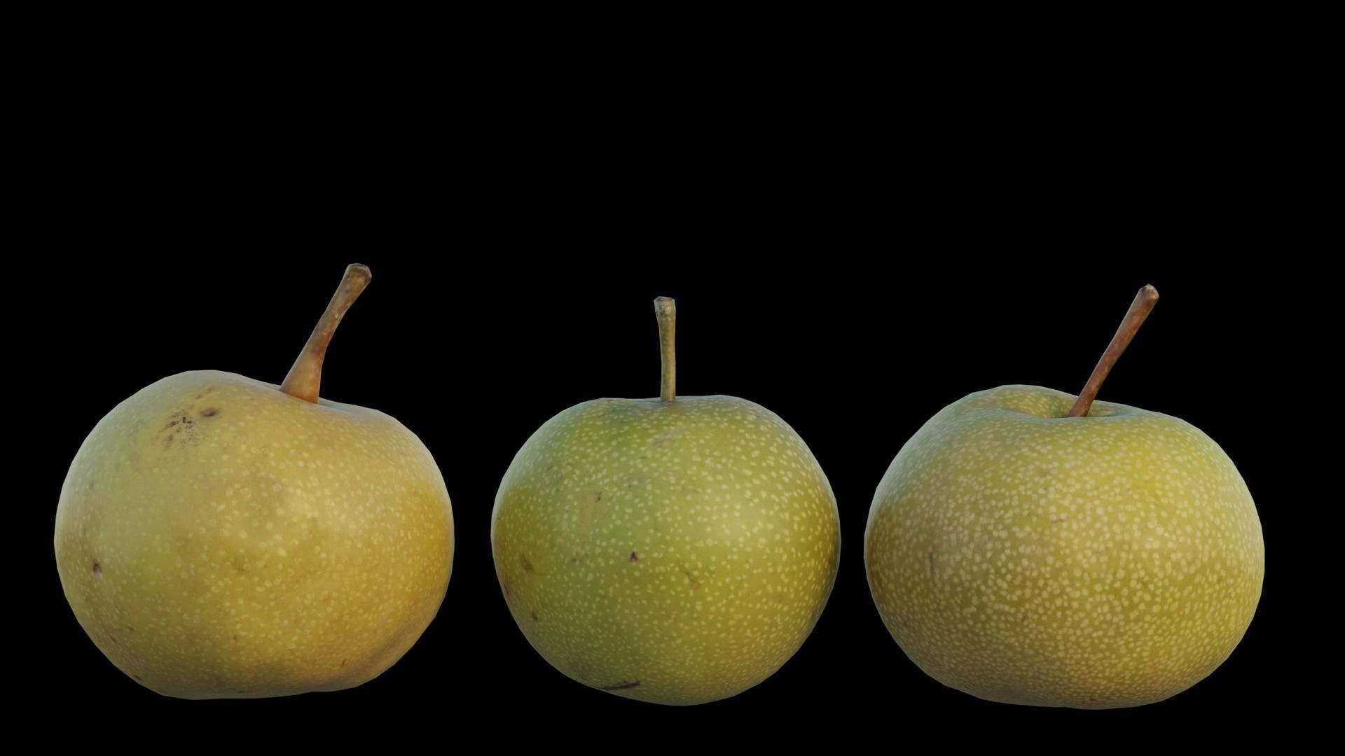Pear 08 3D model_5