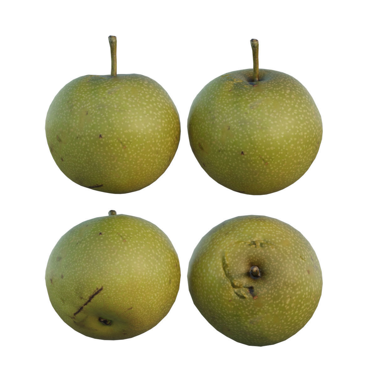 Pear 08 3D model_2