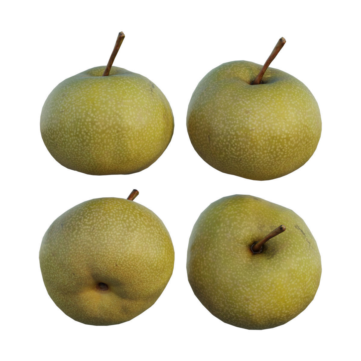 Pear 08 3D model_3