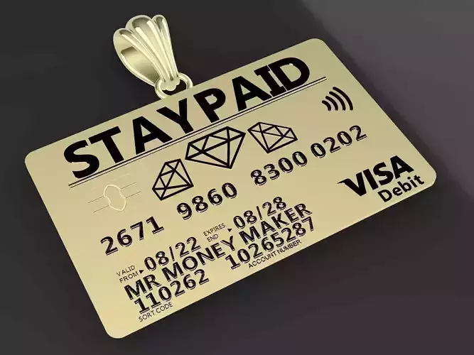 stay paid money visa credit debit card pendant 