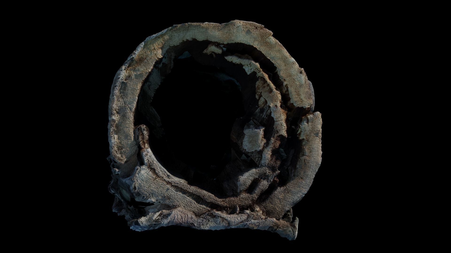 Fallen Rotting Log 3D model_2