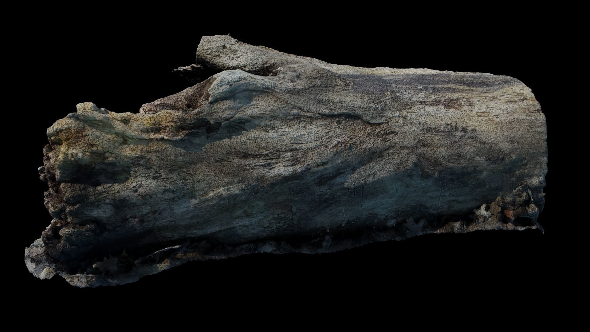 Fallen Rotting Log 3D model_4