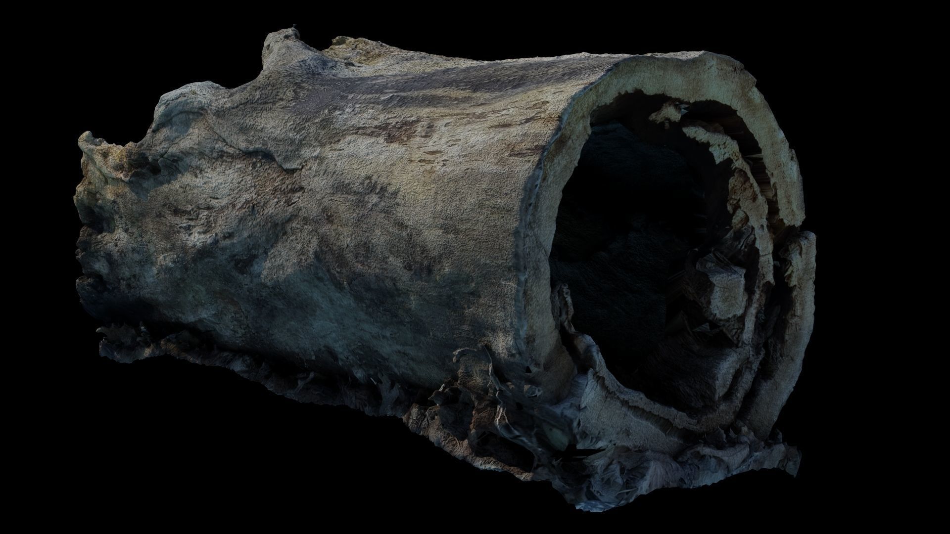 Fallen Rotting Log 3D model_3