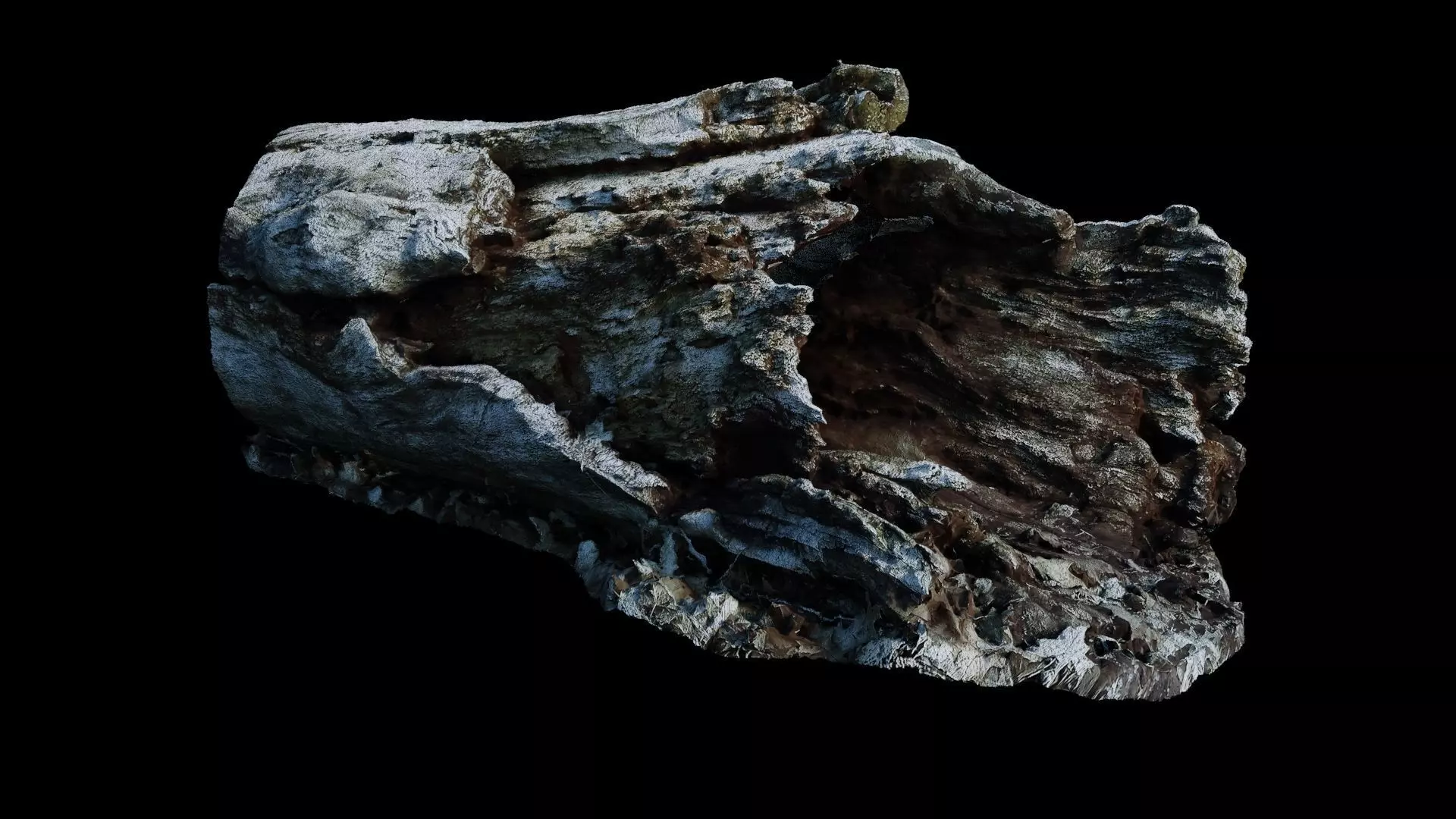 Fallen Rotting Log 3D model_0
