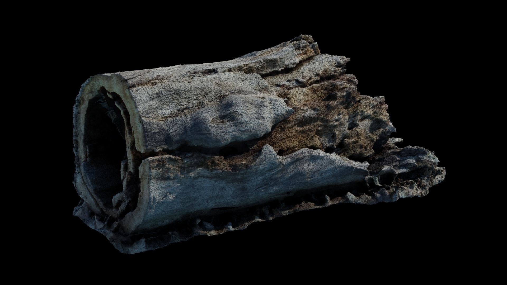 Fallen Rotting Log 3D model_1