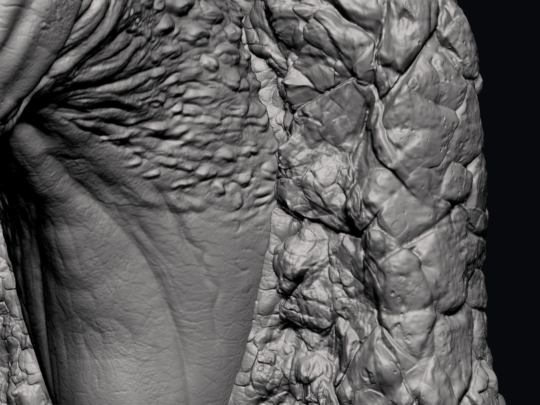 T REX Head - STL 3D print model_12