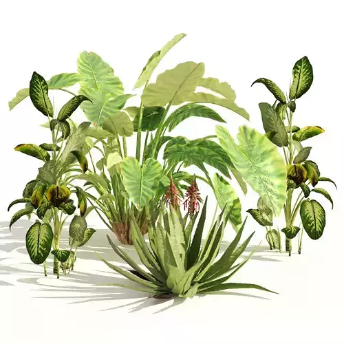 Garden set of tropical plants Low-poly 3D model