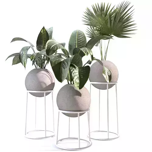 Indoor Plants Collection - Set 01 3D model