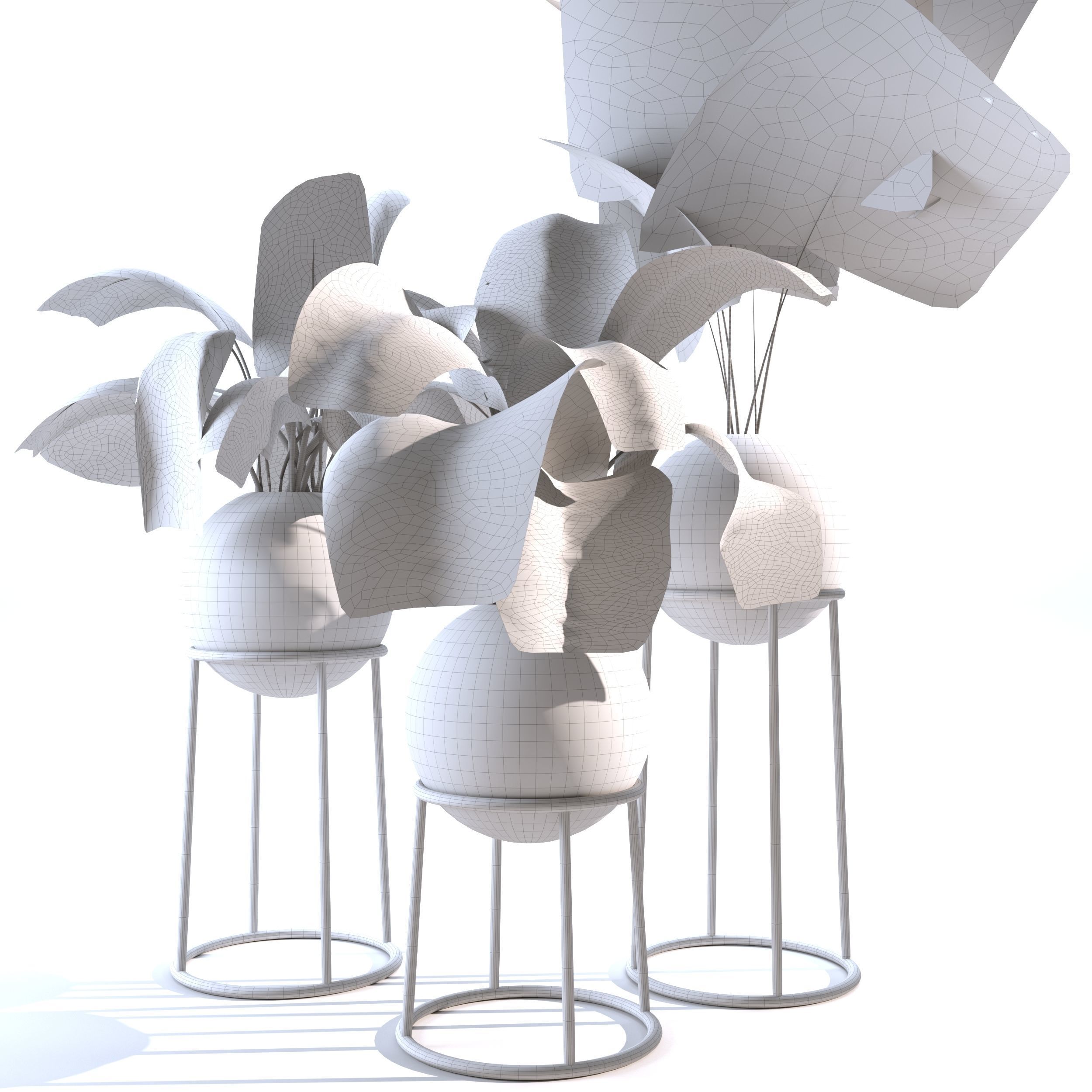 Indoor Plants Collection - Set 01 3D model_3