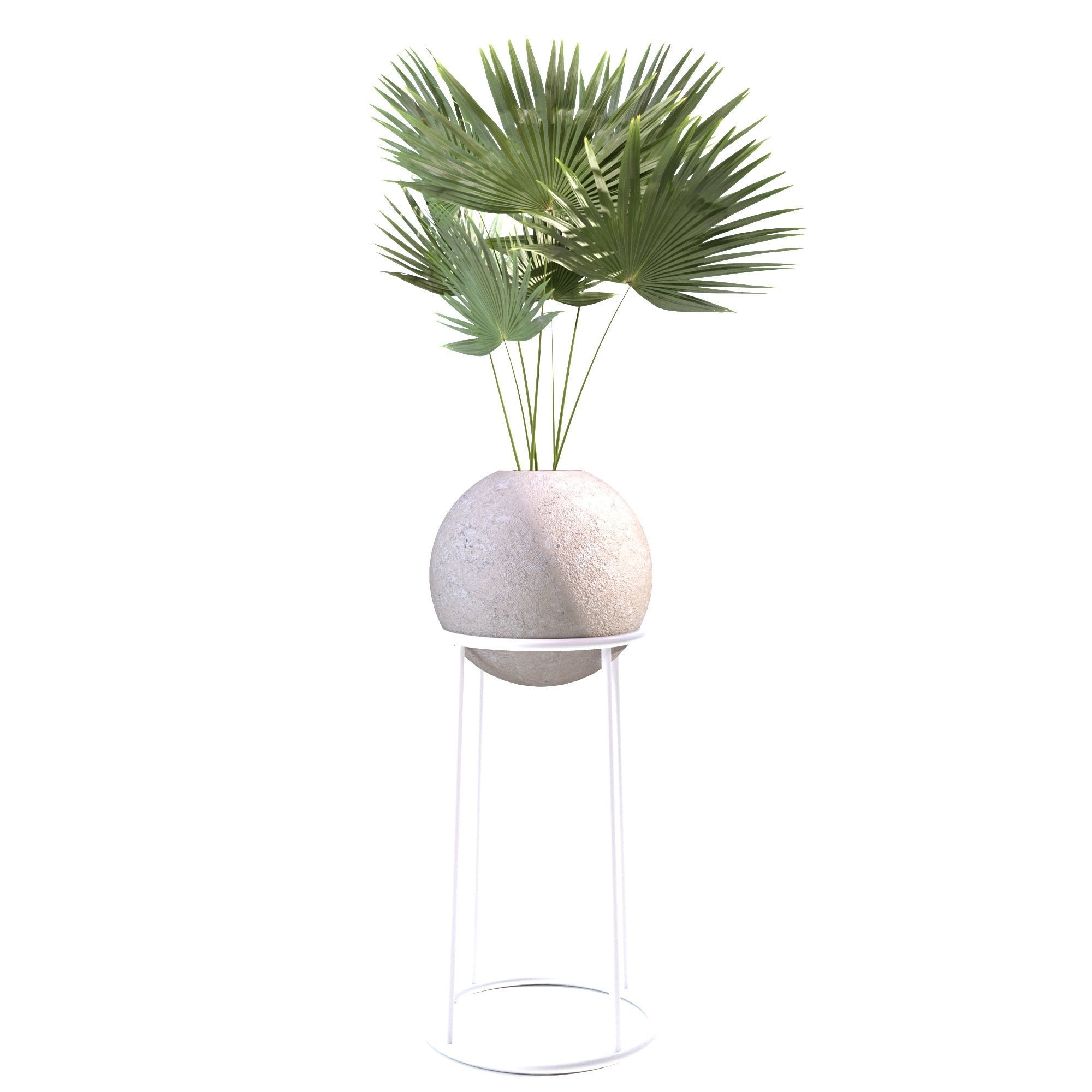 Indoor Plants Collection - Set 01 3D model_6