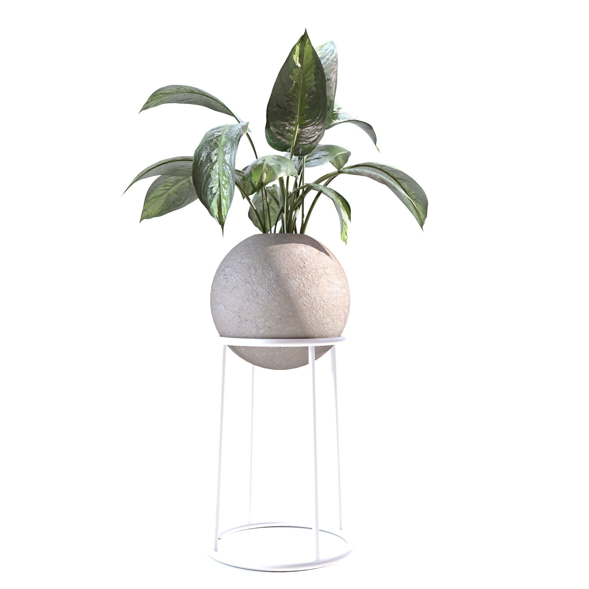 Indoor Plants Collection - Set 01 3D model_5