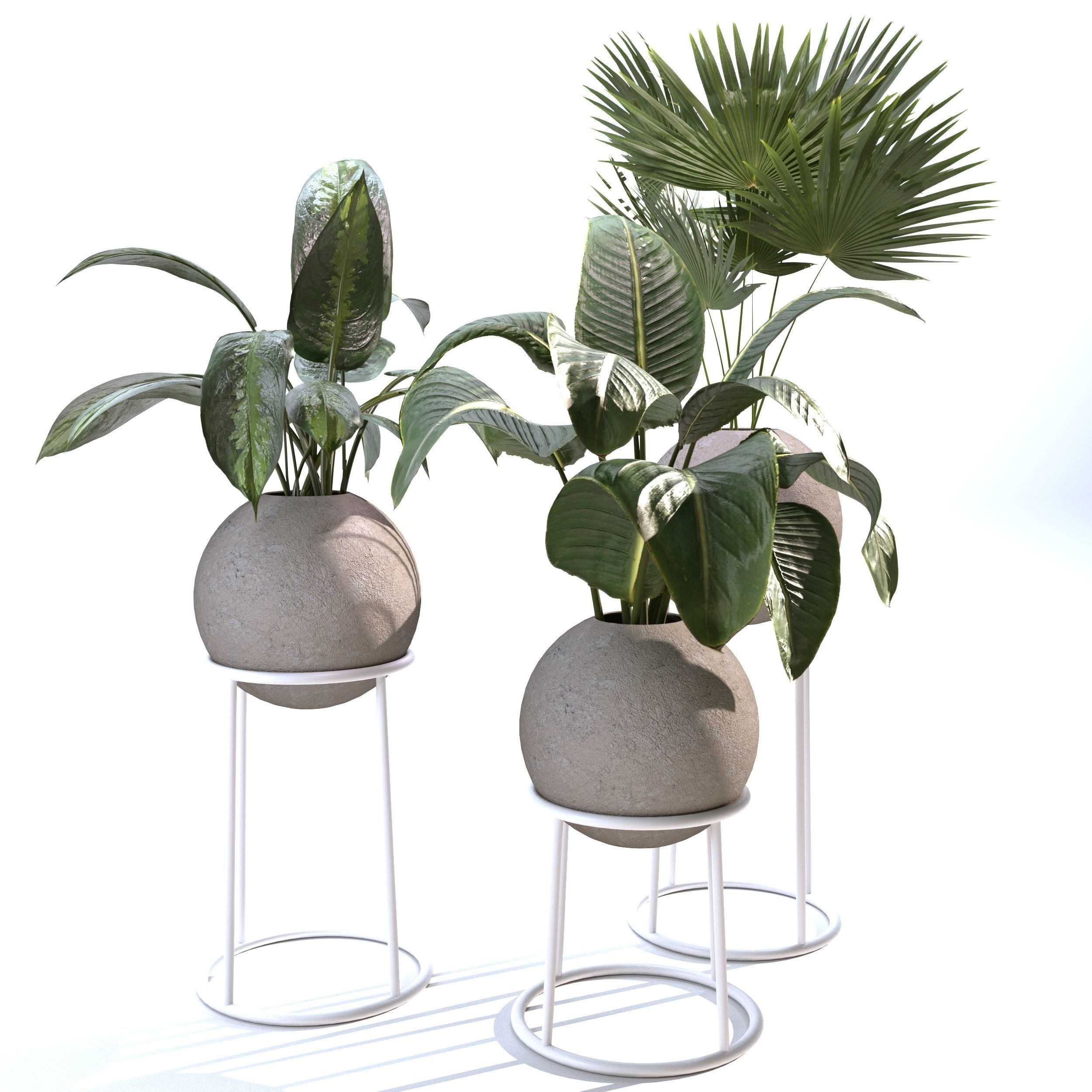 Indoor Plants Collection - Set 01 3D model_2