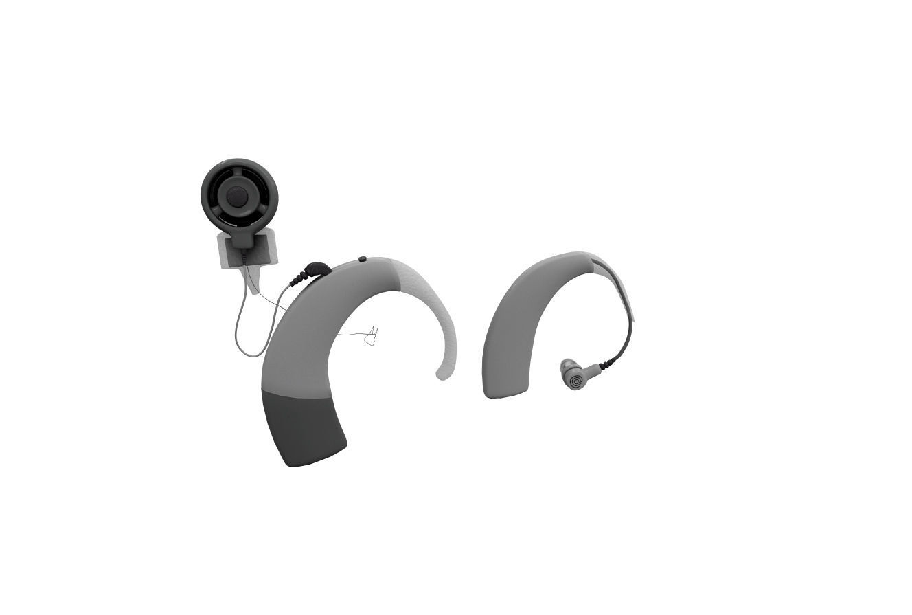 Ear Anatomy 3D model_1