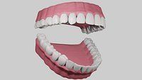 Teeth with Gums and Tongue Rigged 3D Model 3D model_4