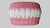 Teeth with Gums and Tongue Rigged 3D Model 3D model_1