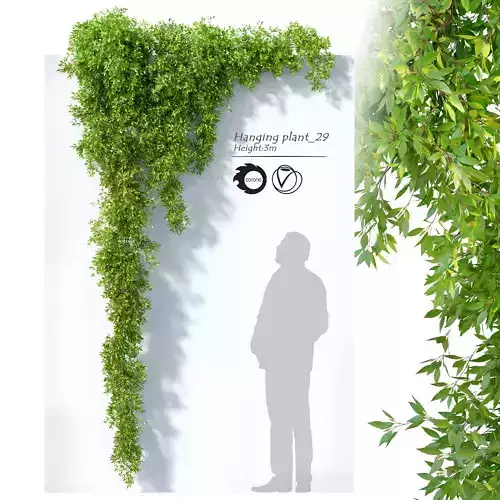 Hanging Plant 29