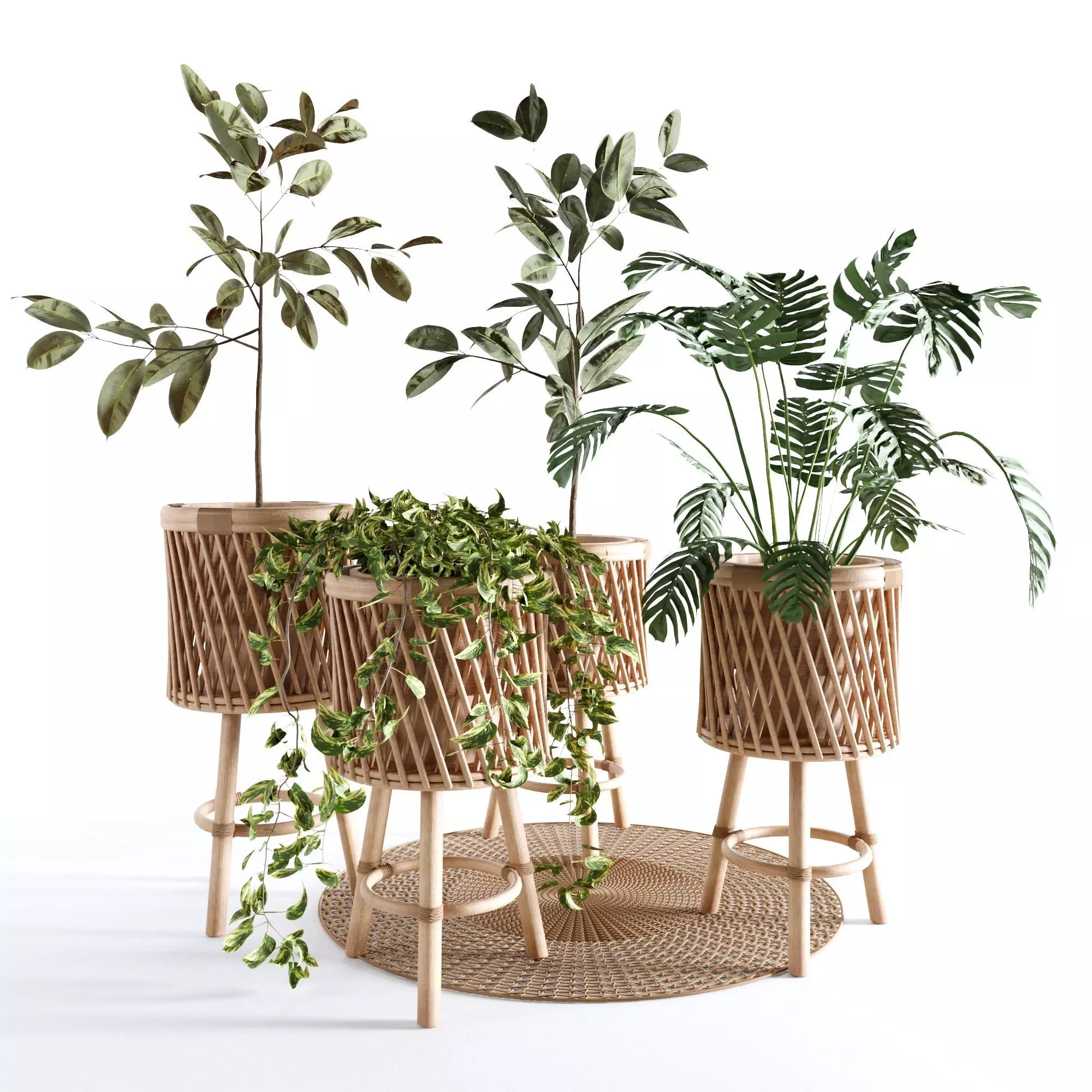 Indoor Plants Collection - Set 02 3D model