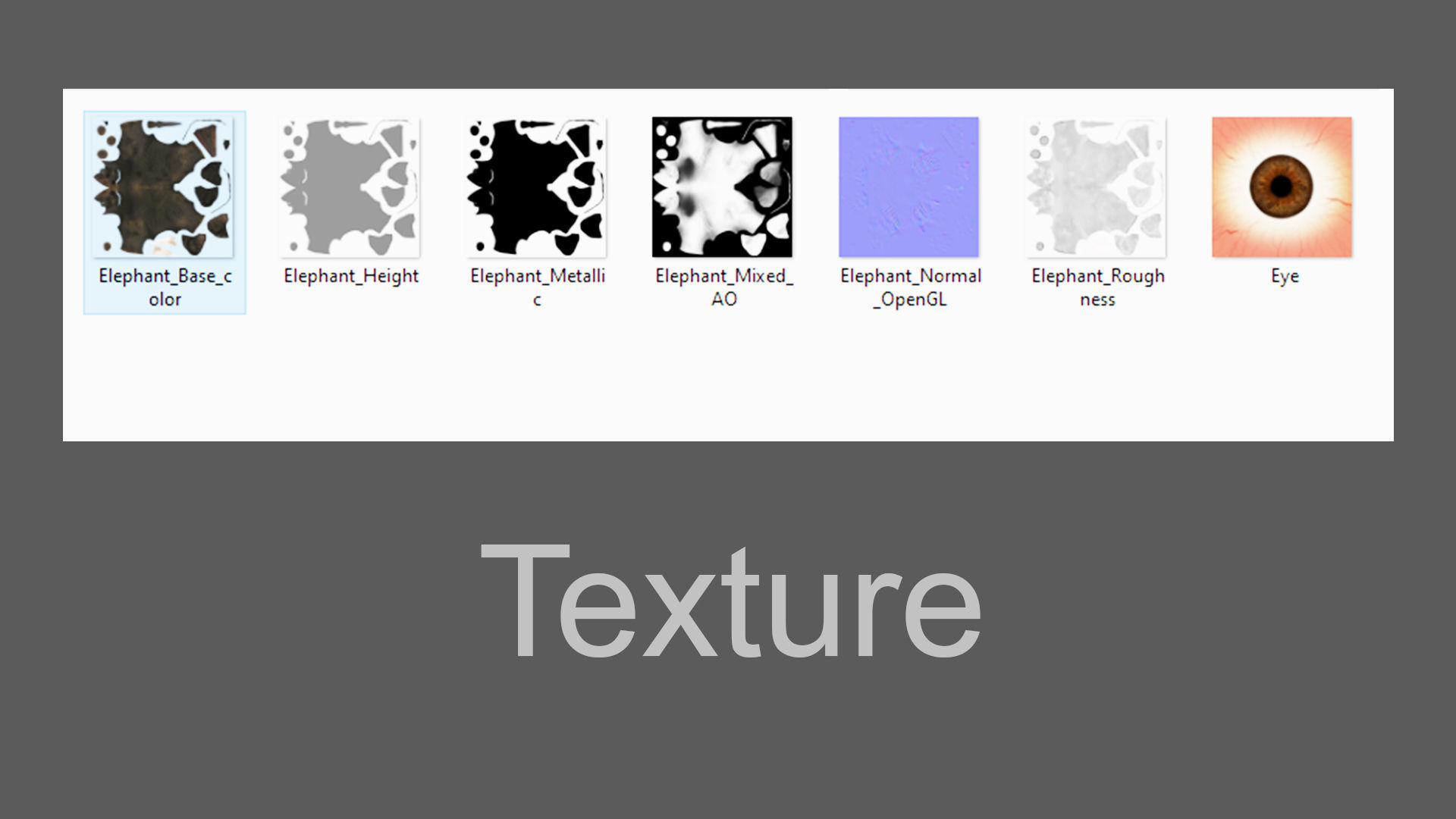 Fur Elephant NO Rigged in Blender Zbrush Low-poly 3D model_24