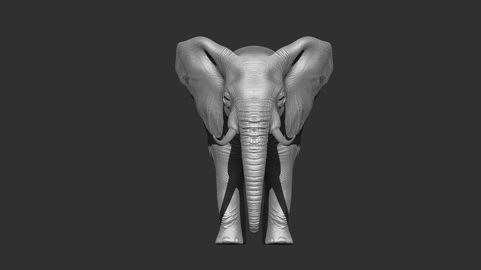 Fur Elephant NO Rigged in Blender Zbrush Low-poly 3D model_6