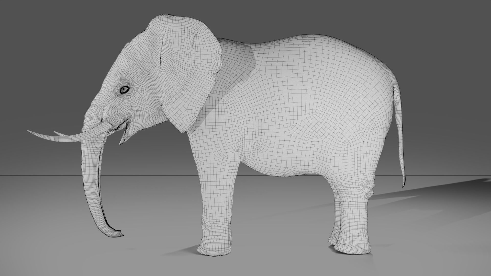 Fur Elephant NO Rigged in Blender Zbrush Low-poly 3D model_26