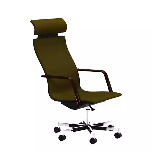 Fysio chair