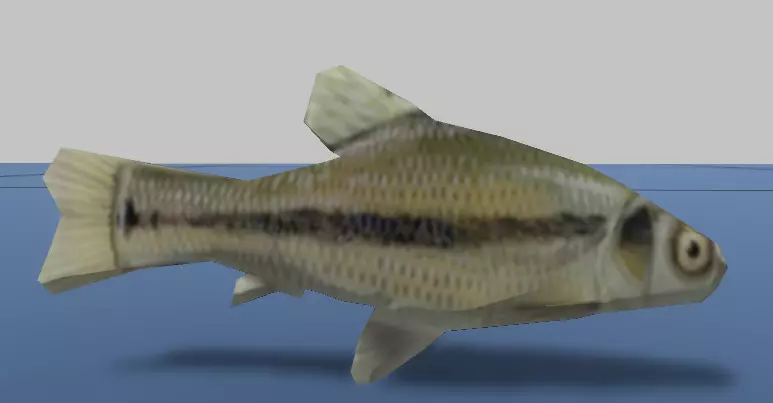 7 Fish Pack with Fish Fillet Knife Low-poly 3D model_0