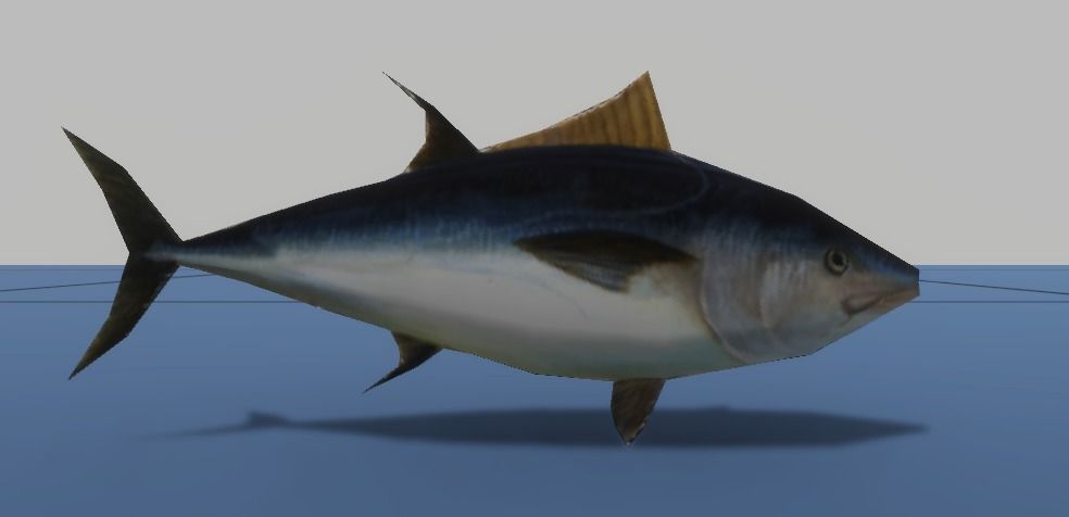 7 Fish Pack with Fish Fillet Knife Low-poly 3D model_3
