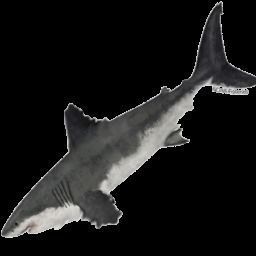 7 Fish Pack with Fish Fillet Knife Low-poly 3D model_16