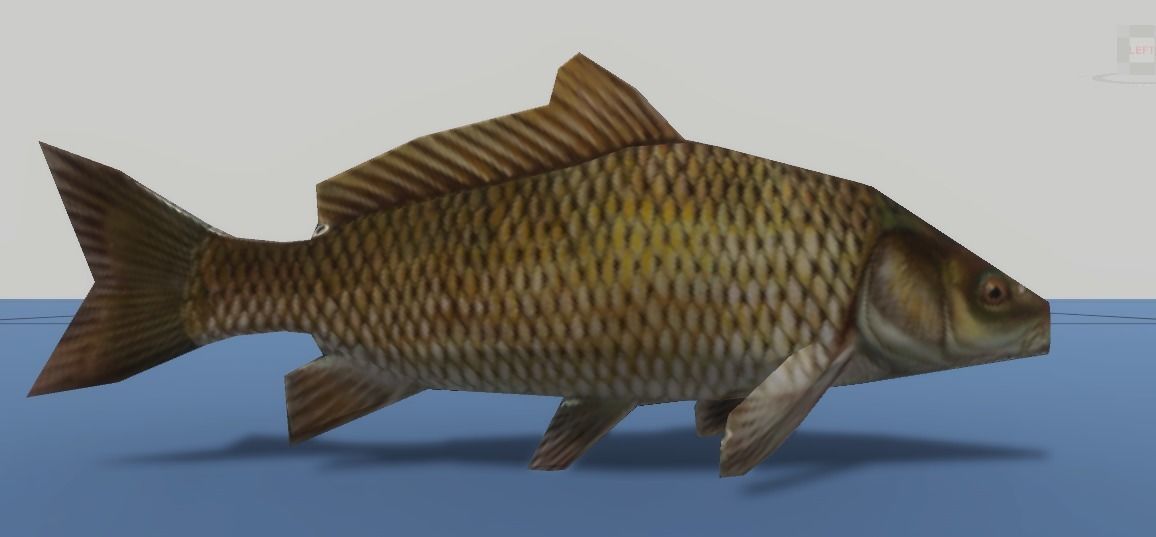 7 Fish Pack with Fish Fillet Knife Low-poly 3D model_4