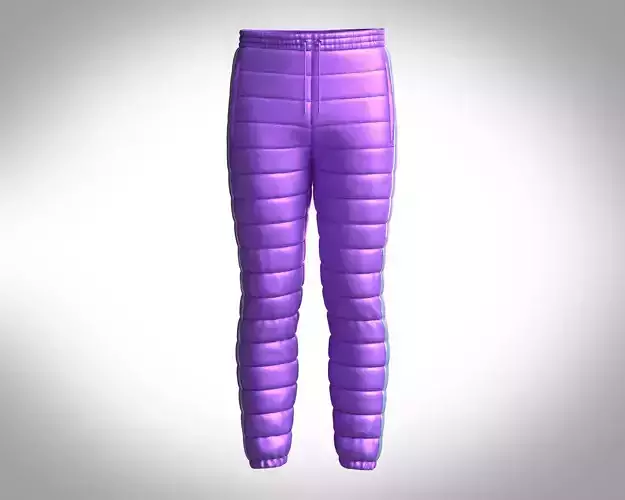 Metaverse-Mens Puffer Bottom