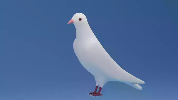 Cartoon Cute Pigeon Dove