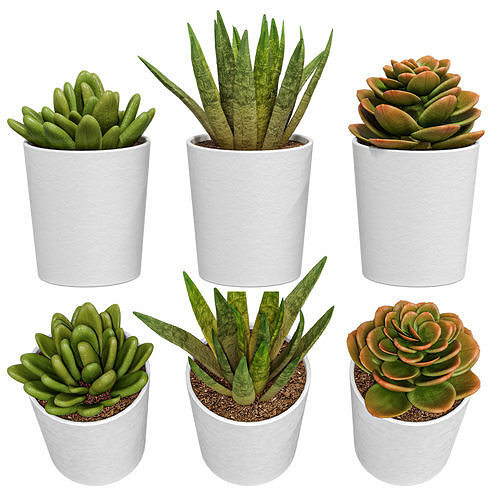 IKEA - FEJKA FEJKA Artificial potted plant 3D model