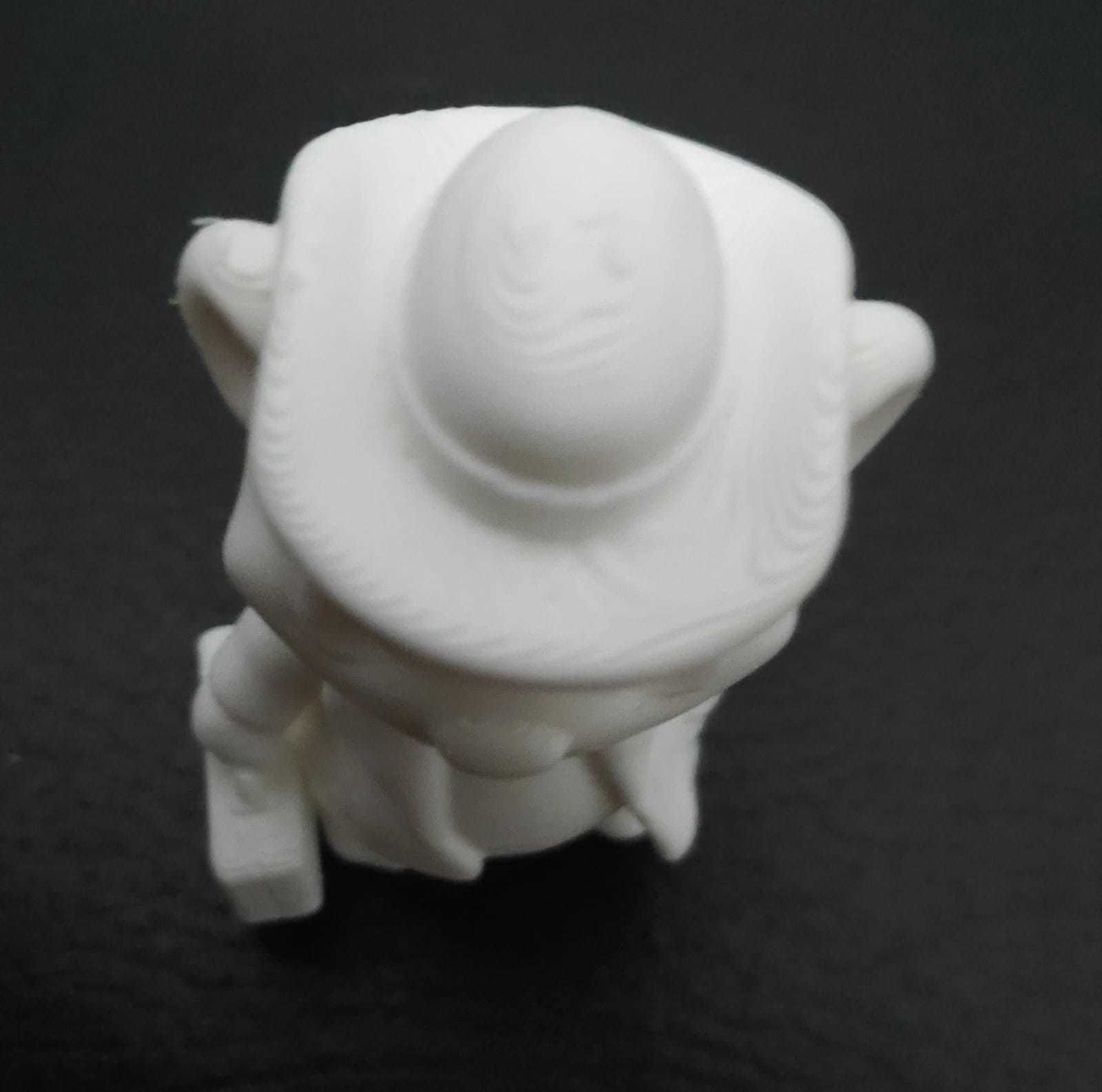 Raccoon Coat 3D print model_13