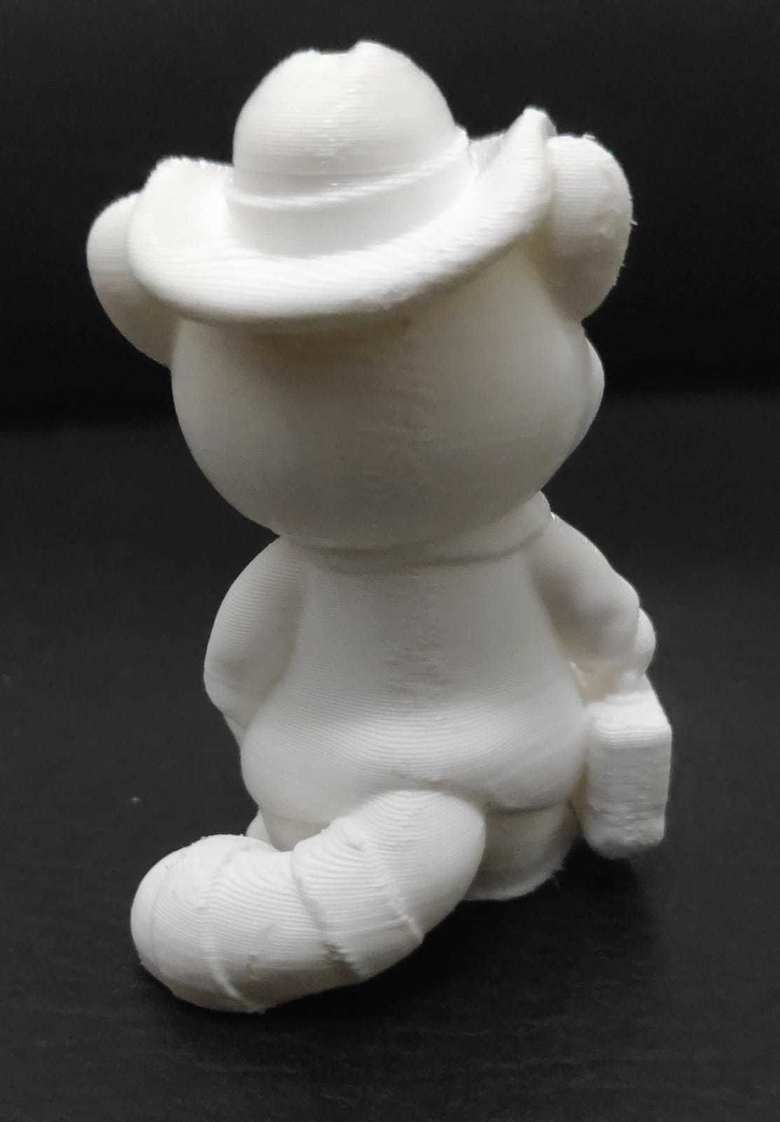 Raccoon Coat 3D print model_7