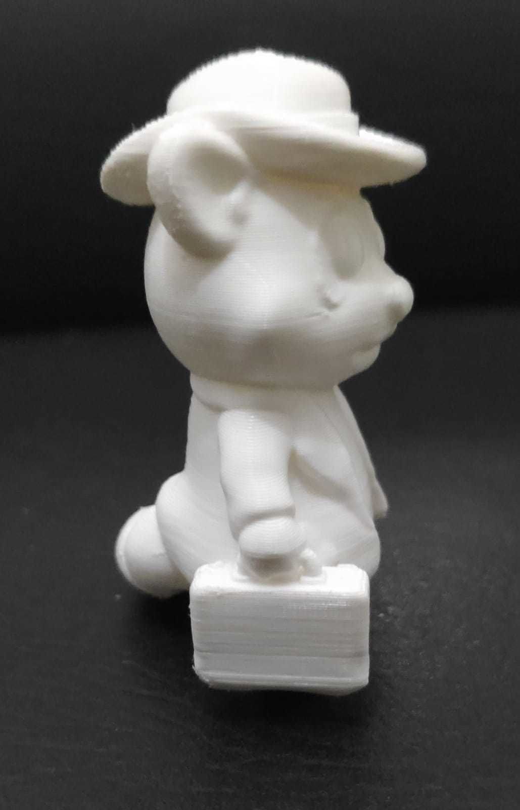 Raccoon Coat 3D print model_5