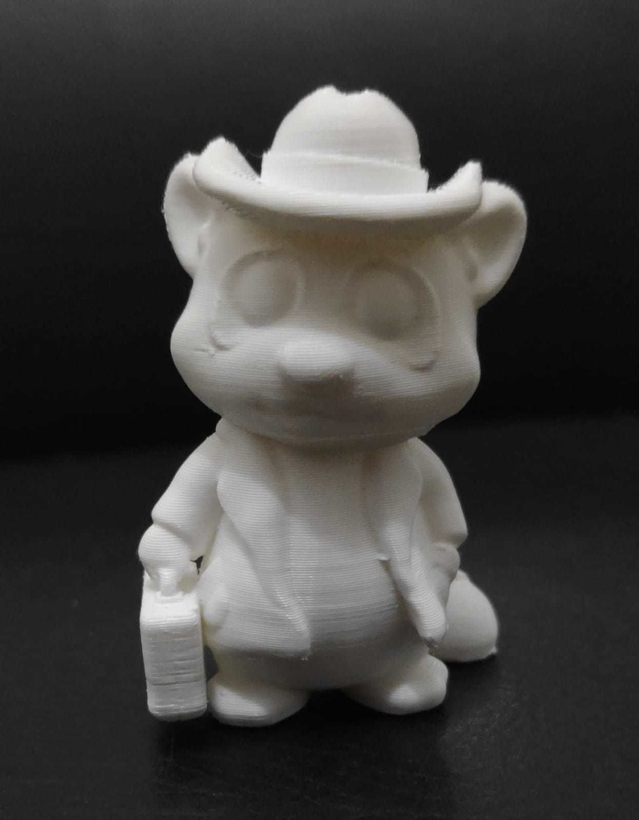 Raccoon Coat 3D print model_10