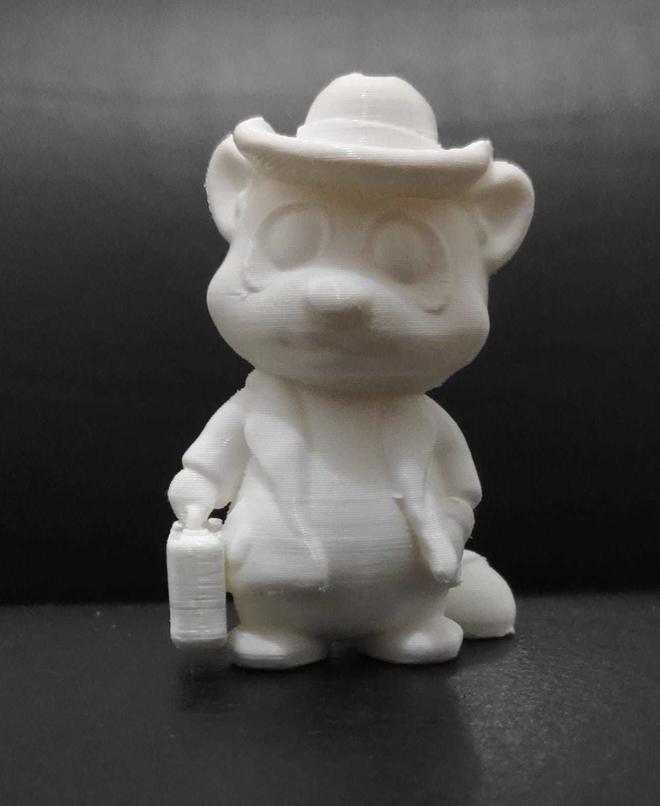 Raccoon Coat 3D print model_11