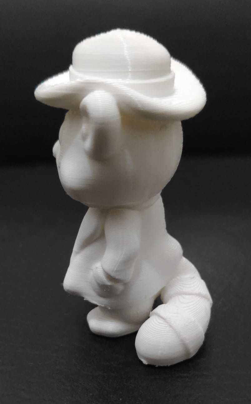 Raccoon Coat 3D print model_8