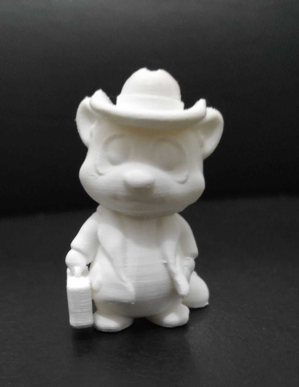 Raccoon Coat 3D print model_4