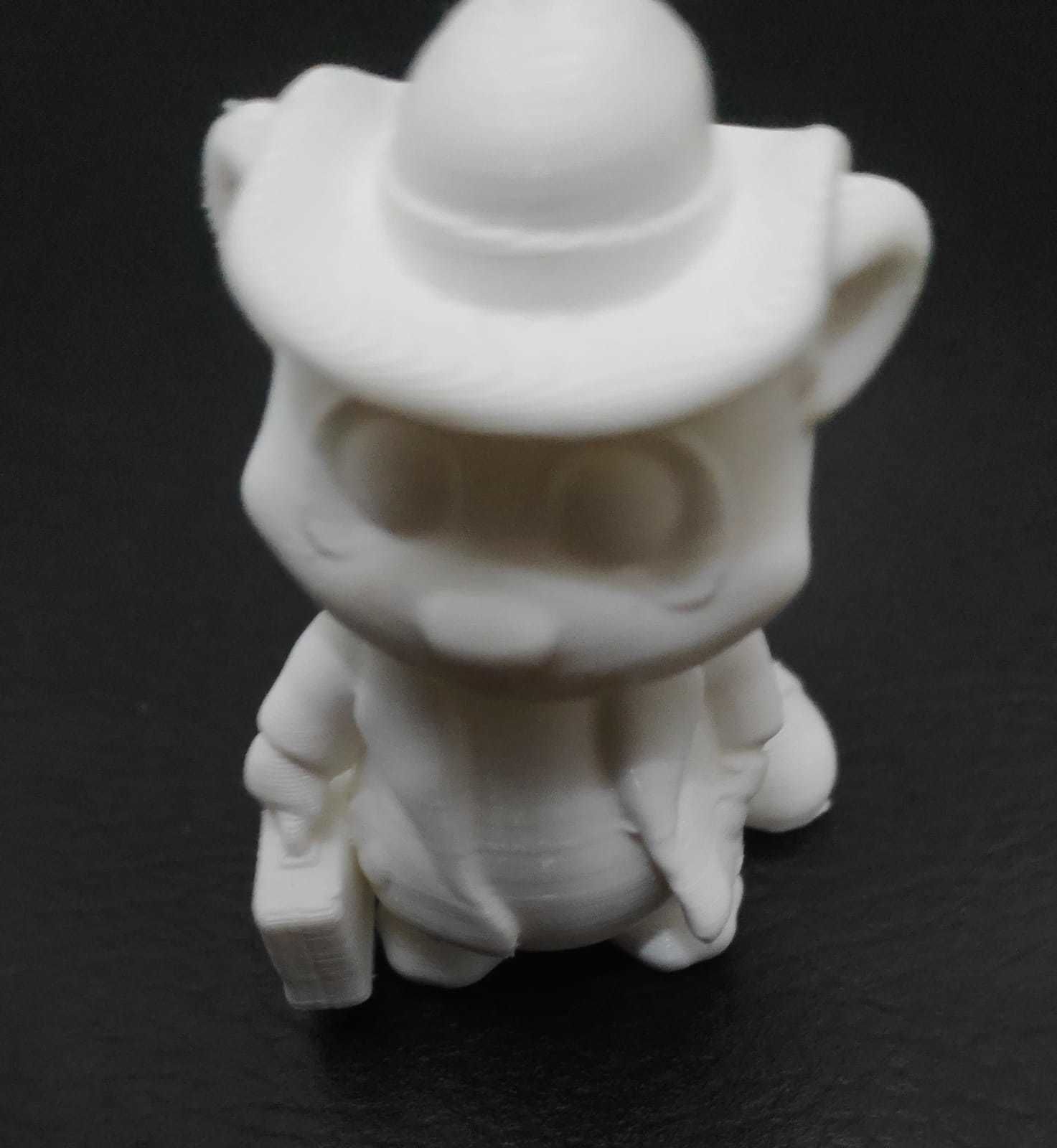 Raccoon Coat 3D print model_12