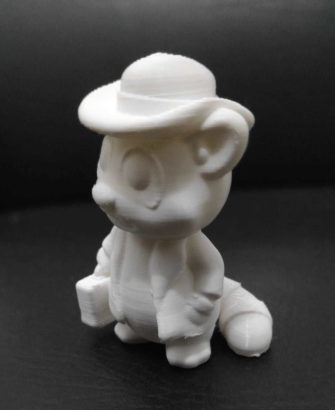 Raccoon Coat 3D print model_6