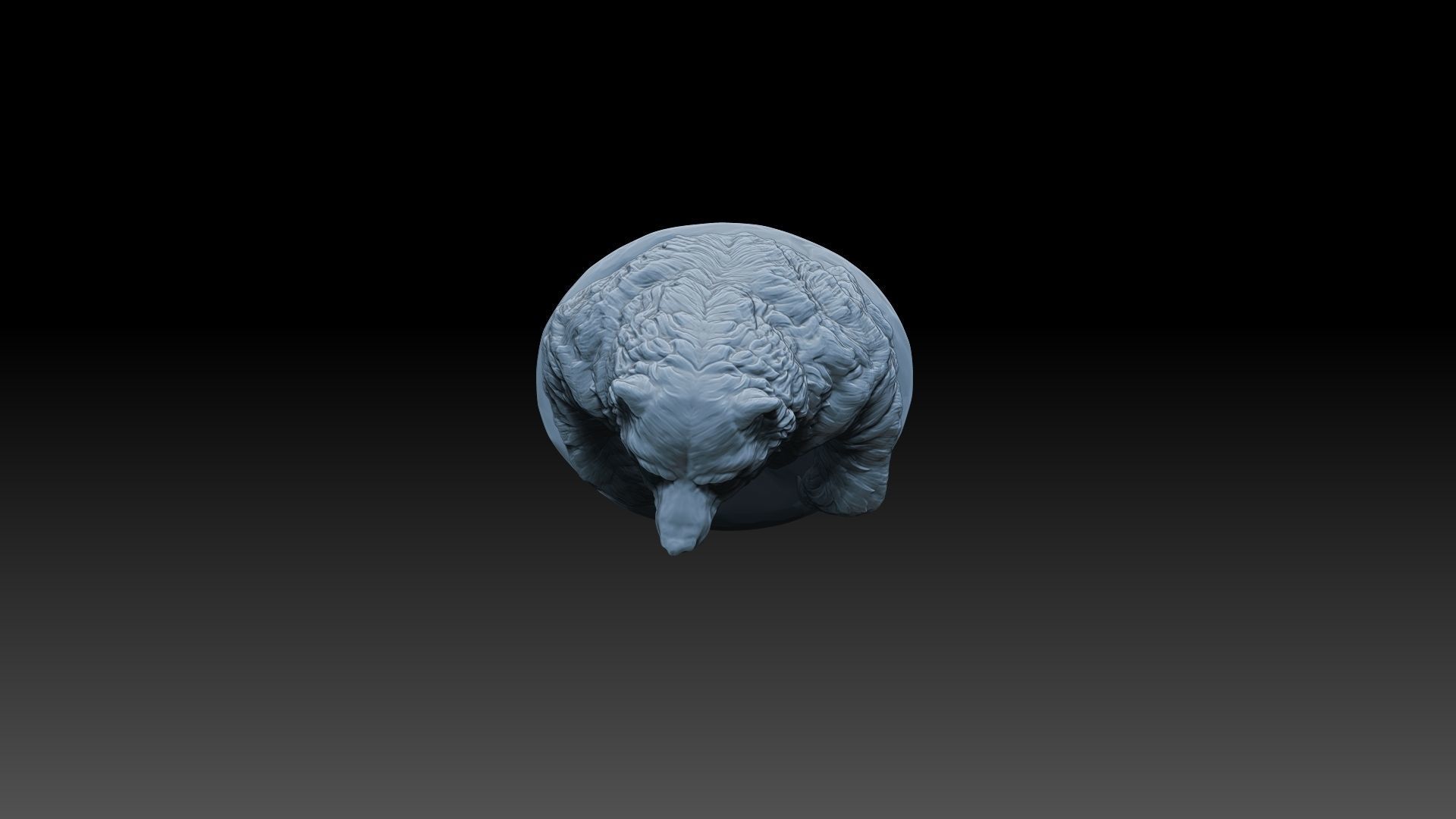 Bear Statue Print Ready 3D model_16