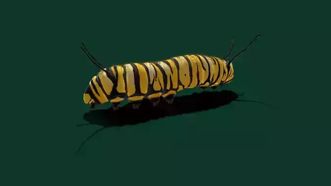 Caterpillar idle